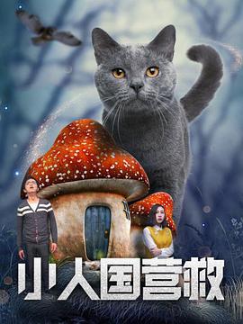 任职的秘书