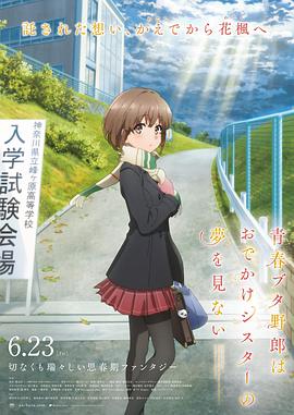 番鸽号