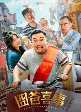 真假试探