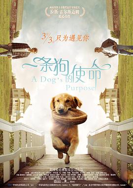 久草在线视频精品