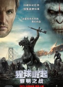 律师全系