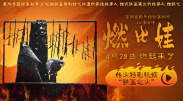 史无前例的夫人