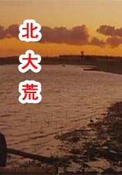 成人夜色香网站在线观看
