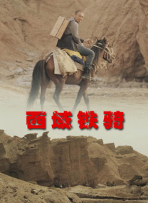 99国内精品久久久久久久