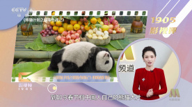 青青青在线视频观看